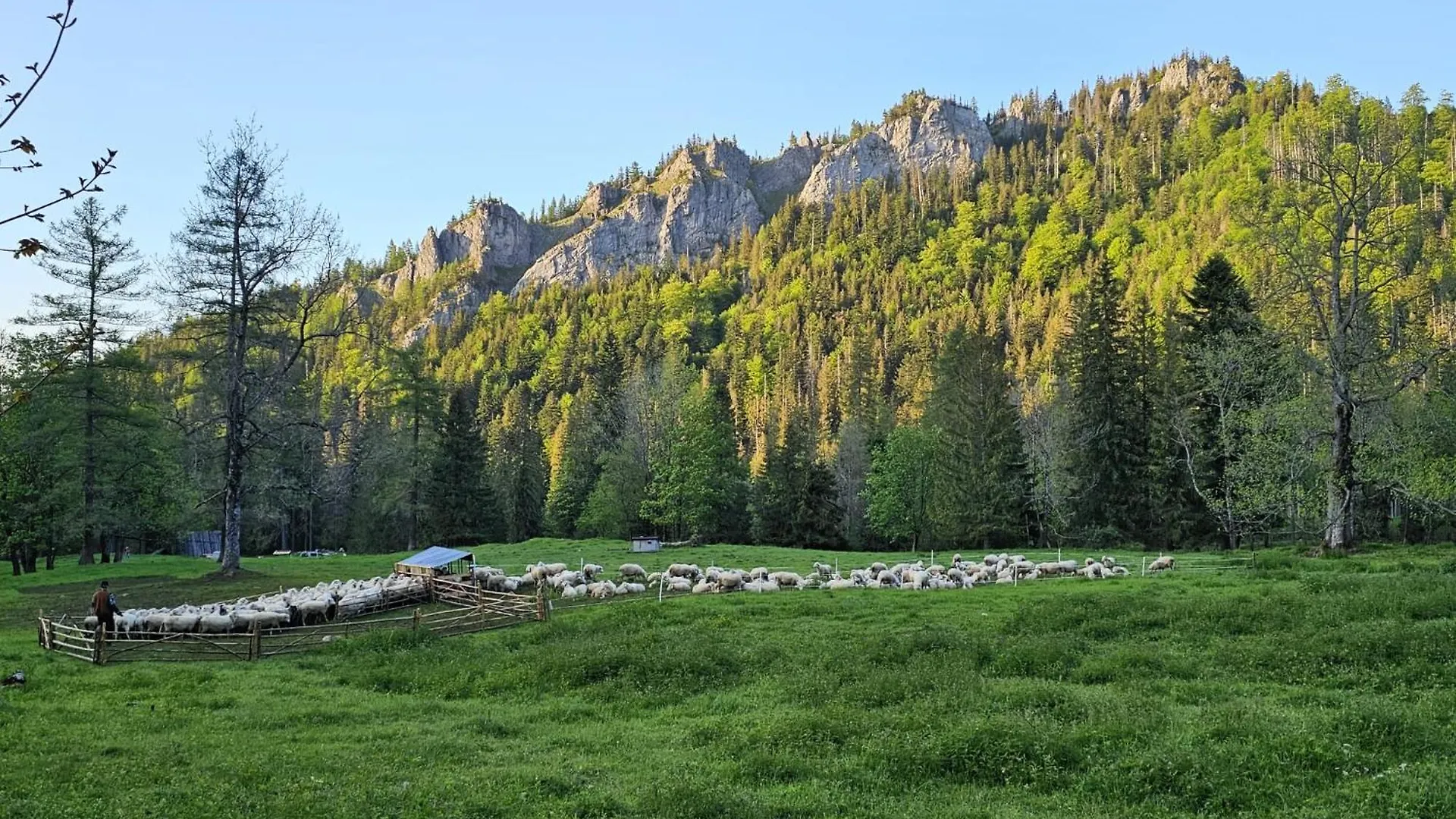 Gosciniec Kuznice Zakopane Polonya