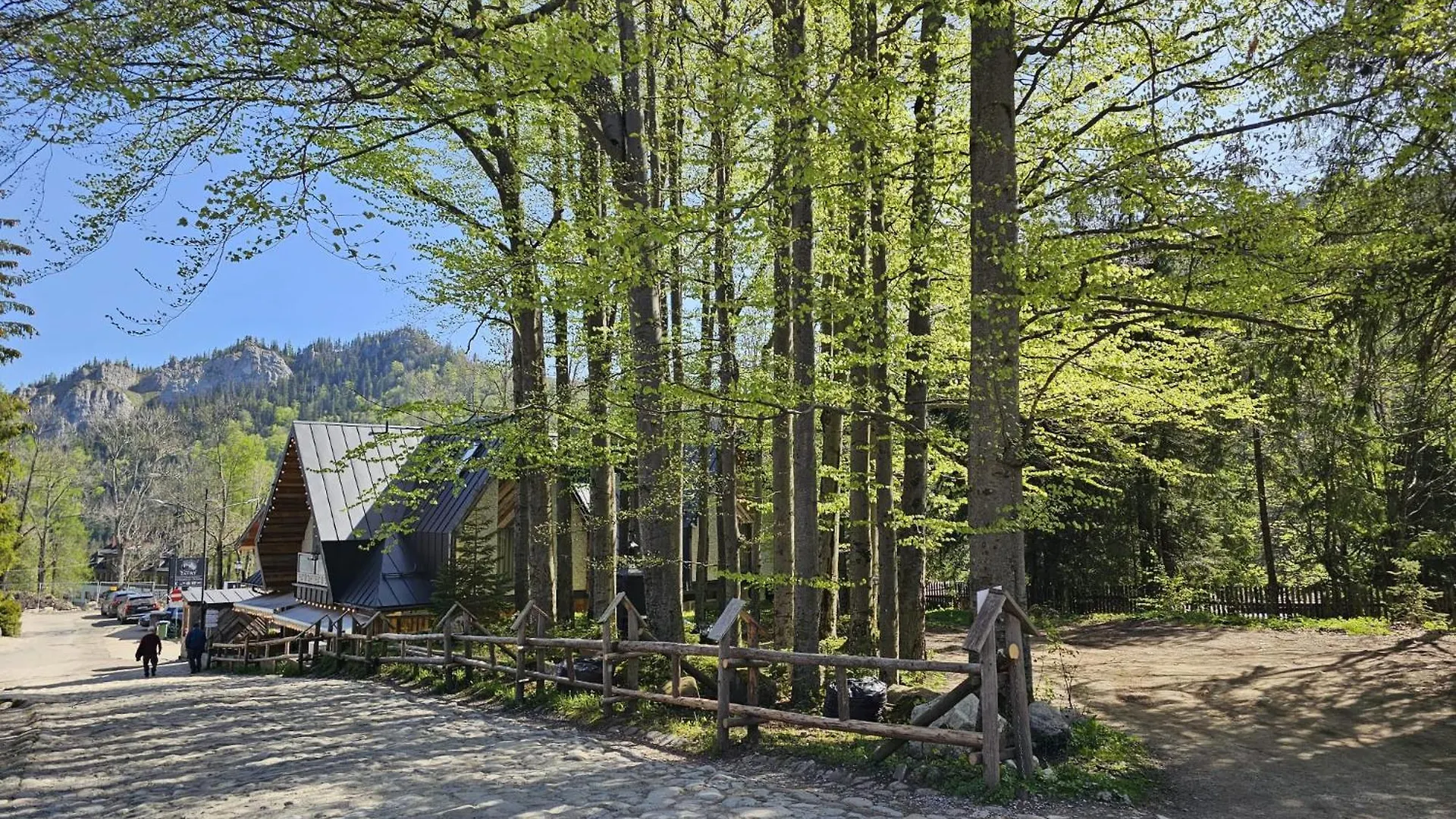 Daire Gosciniec Kuznice Zakopane Polonya